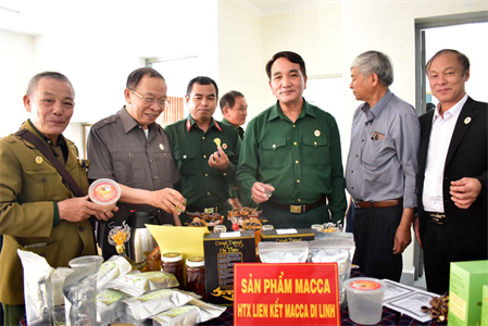 Ba trụ cột phát triển kinh tế của Cựu chiến binh Lâm Đồng