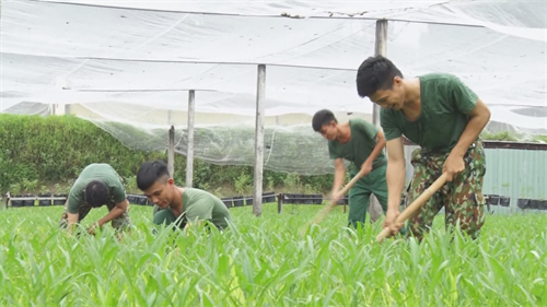 Trường Quân sự Quân khu tổng kết 10 năm thực hiện Nghị quyết 623