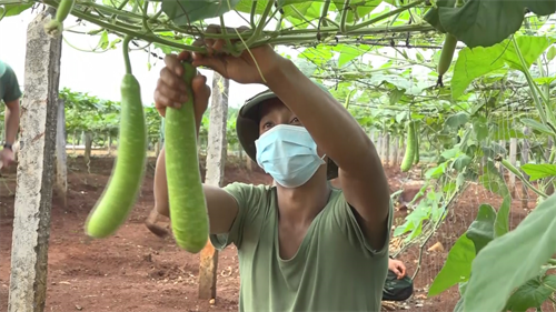 Cục Hậu cần Quân khu triển khai nhiệm vụ 6 tháng cuối năm 2022