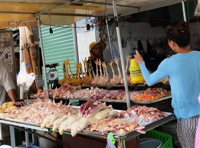 Có nên mua gà giết sẵn ngoài chợ trong thời điểm hiện nay?