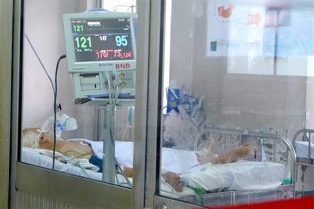 Thành phố Hồ Chí Minh lấy mẫu bệnh nhân hô hấp có tiếp xúc với gia cầm chết để xét nghiệm