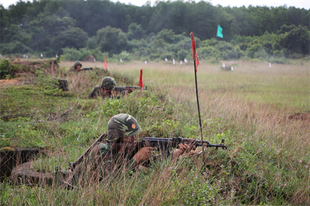 Trung đoàn Gia Định diễn tập cấp trung đội bộ binh