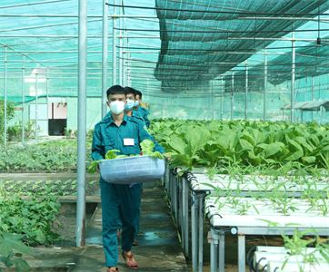 Huyện Bắc Tân Uyên hội thi “Trụ sở chính quy xanh - sạch - đẹp”