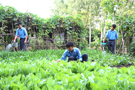 Chuyện tăng gia của bộ đội Việt Nam trên đất bạn Campuchia