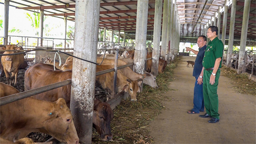 Thương binh làm kinh tế giỏi