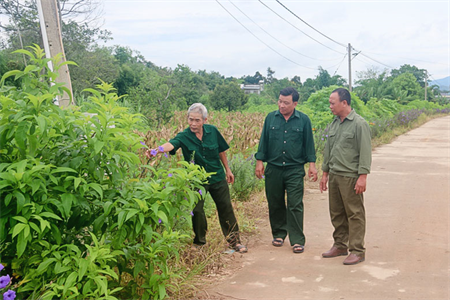 Cựu chiến binh Đam Rông làm kinh tế giỏi