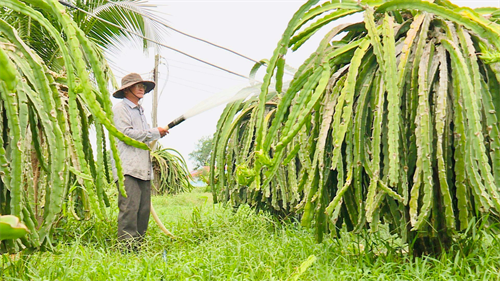 Cựu chiến binh, thương binh tỏa sáng giữa đời thường