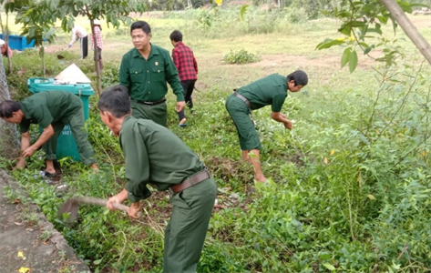 Cựu chiến binh chung sức xây dựng nông thôn mới