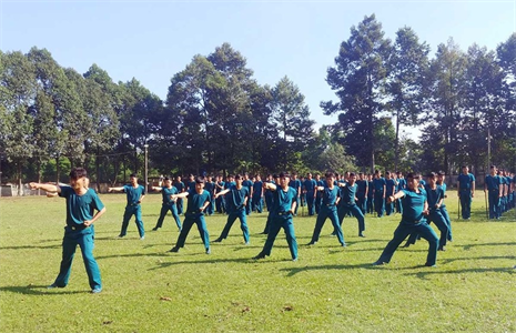 Huấn luyện võ thuật, điều tiết giao thông, phòng cháy, chữa cháy cho dân quân tự vệ