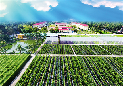 Phát huy nội lực xây dựng doanh trại chính quy, xanh, sạch, đẹp