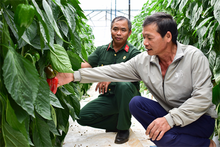 Cựu chiến binh Đặng Văn Cam vượt khó làm giàu