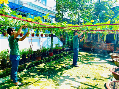 Ban CHQS thành phố Dĩ An, tỉnh Bình Dương: Hội thi “Trụ sở chính quy, xanh - sạch - đẹp gắn với tăng gia sản xuất, dịch vụ”