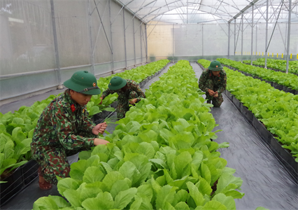 Sư đoàn 5: Hội thi và kiểm tra chuyên ngành Hậu cần năm 2022