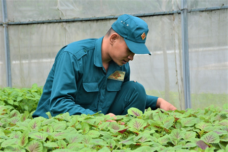 Trung đội dân quân tăng gia sản xuất giỏi