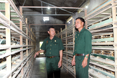 Những cựu chiến binh sản xuất giỏi