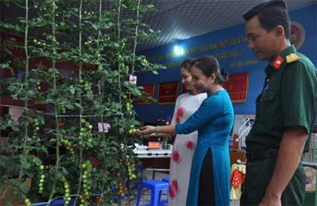 Nhân rộng mô hình rau sạch ở LLVT tỉnh Bà Rịa - Vũng Tàu