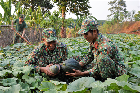 Tỉnh Bình Phước bế mạc Hội thi “Xây dựng, quản lý doanh trại chính quy, xanh, sạch, đẹp”