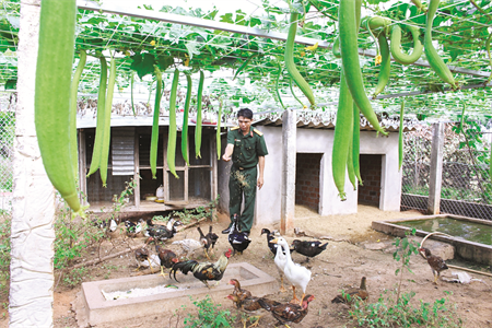 Tỉnh Bình Thuận nhiều giải pháp cải thiện bữa ăn bộ đội