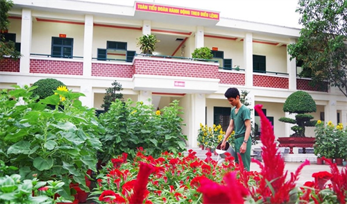 Trường Sĩ quan Lục quân 2 - Rực rỡ sắc màu đường hoa thanh niên