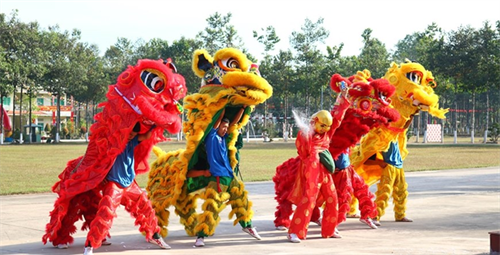 Vui xuân Quý Mão tại Sư đoàn 5