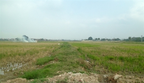 Từ 1/4, sẽ công khai các trường hợp vi phạm trong quản lý, sử dụng đất đai