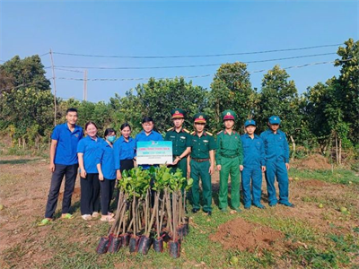 Chi Đoàn Quân sự thị xã Phú Mỹ phối hợp thực hiện “Vườn cây sinh kế”
