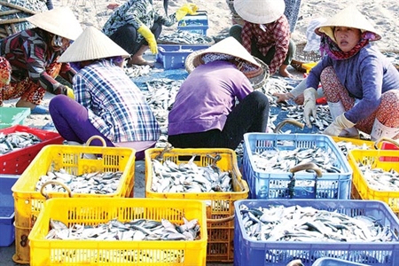 Hướng tới khai thác thủy sản bền vững kết hợp bảo đảm chủ quyền biển