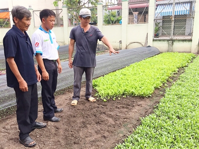 Trí thức trẻ tình nguyện