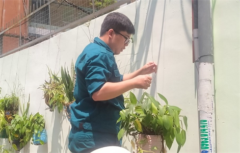 Dân quân Quận 3 ra quân xây dựng tuyến hẻm “xanh, sạch, đẹp”