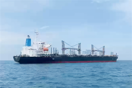 Hải quân Việt Nam cứu hộ thành công tàu nước ngoài mắc cạn tại vùng biển Bình Thuận