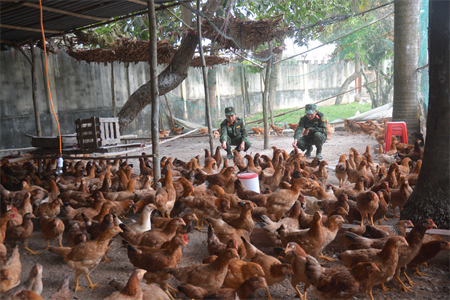 Ngành Hậu cần LLVT tỉnh Tây Ninh phát huy tiềm năng thế mạnh tại chỗ