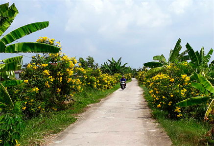 Cựu chiến binh làm dân vận khéo