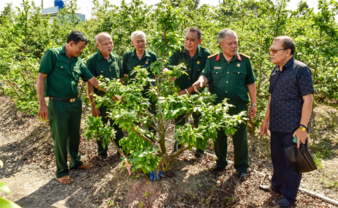 Hiệu quả từ Câu lạc bộ trồng mai