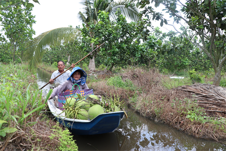 Nông dân vùng biên làm kinh tế giỏi