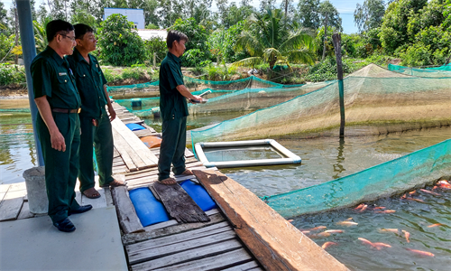 Cựu chiến binh nuôi cá bè đạt hiệu quả cao