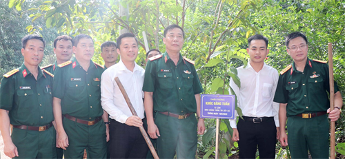 Binh chủng Thông tin liên lạc trồng cây tại rừng Mã Đà