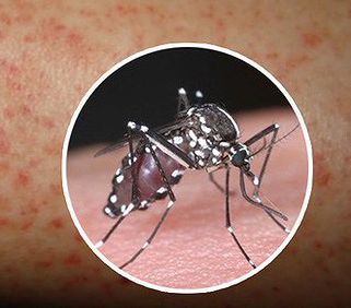 Tăng cường phòng, chống sốt xuất huyết Dengue trong Quân đội