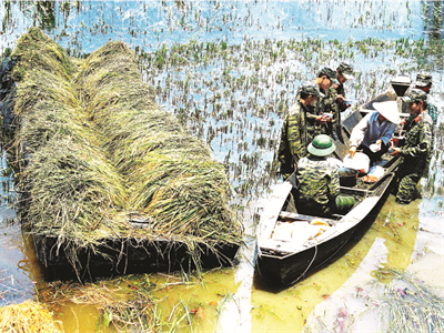 Tản mạn Vàm Cỏ Đông