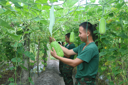 Tăng gia giỏi, nuôi quân tốt