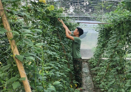 Đại đội Vệ binh 23 đẩy mạnh tăng gia sản xuất, nâng cao đời sống bộ đội