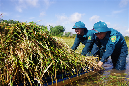 Dân quân tự vệ chống mệnh lệnh người chỉ huy xử lý thế nào?