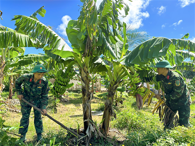 Tăng gia trên đảo tiền tiêu
