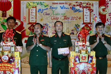 Thiếu tướng, Trần Vinh Ngọc, Phó Chính ủy Quân khu kiểm tra, chúc Tết Sư đoàn 302