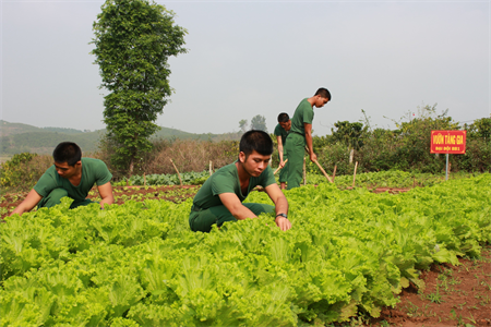 Trung đoàn bộ binh 994, tỉnh Lâm Đồng sẵn sàng đón tân binh