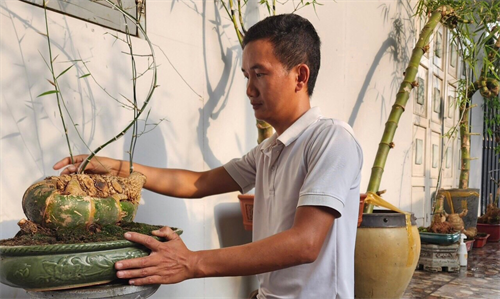 Chàng nghệ nhân trẻ say mê bonsai tre