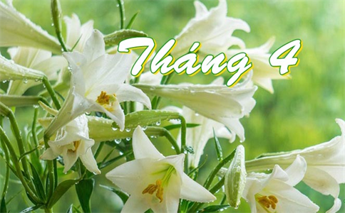 Tạm biệt tháng 3, chào tháng 4, trong trẻo - nhẹ nhàng!