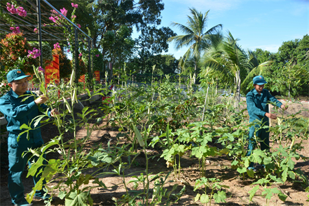Màu xanh nơi biên cương