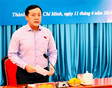 Đoàn đại biểu Quốc hội TPHCM: góp ý dự án Luật Phòng không nhân dân và Luật Quản lý, sử dụng vũ khí, vật liệu nổ và công cụ hỗ trợ