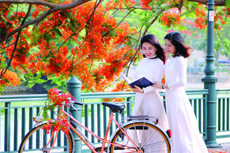 Mùa hoa phượng nở - Ký ức tuổi học trò
