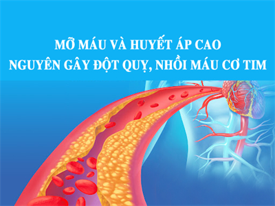 Mỡ máu và huyết áp cao - nguyên gây đột quỵ, nhồi máu cơ tim